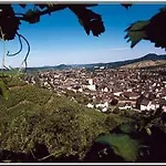 Hotel Rhein