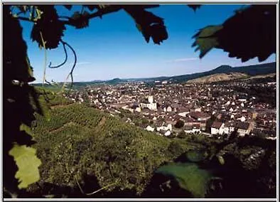 Hotel Rhein